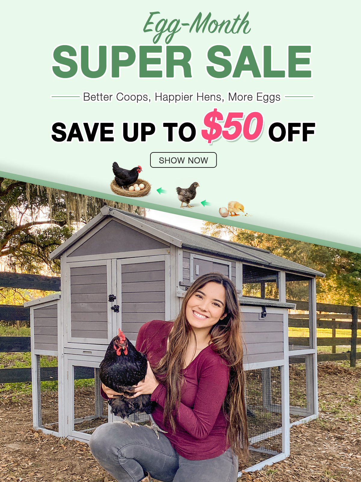 AIVITUVIN: Leading Brand in Wooden Pet House Industry! – Aivituvin