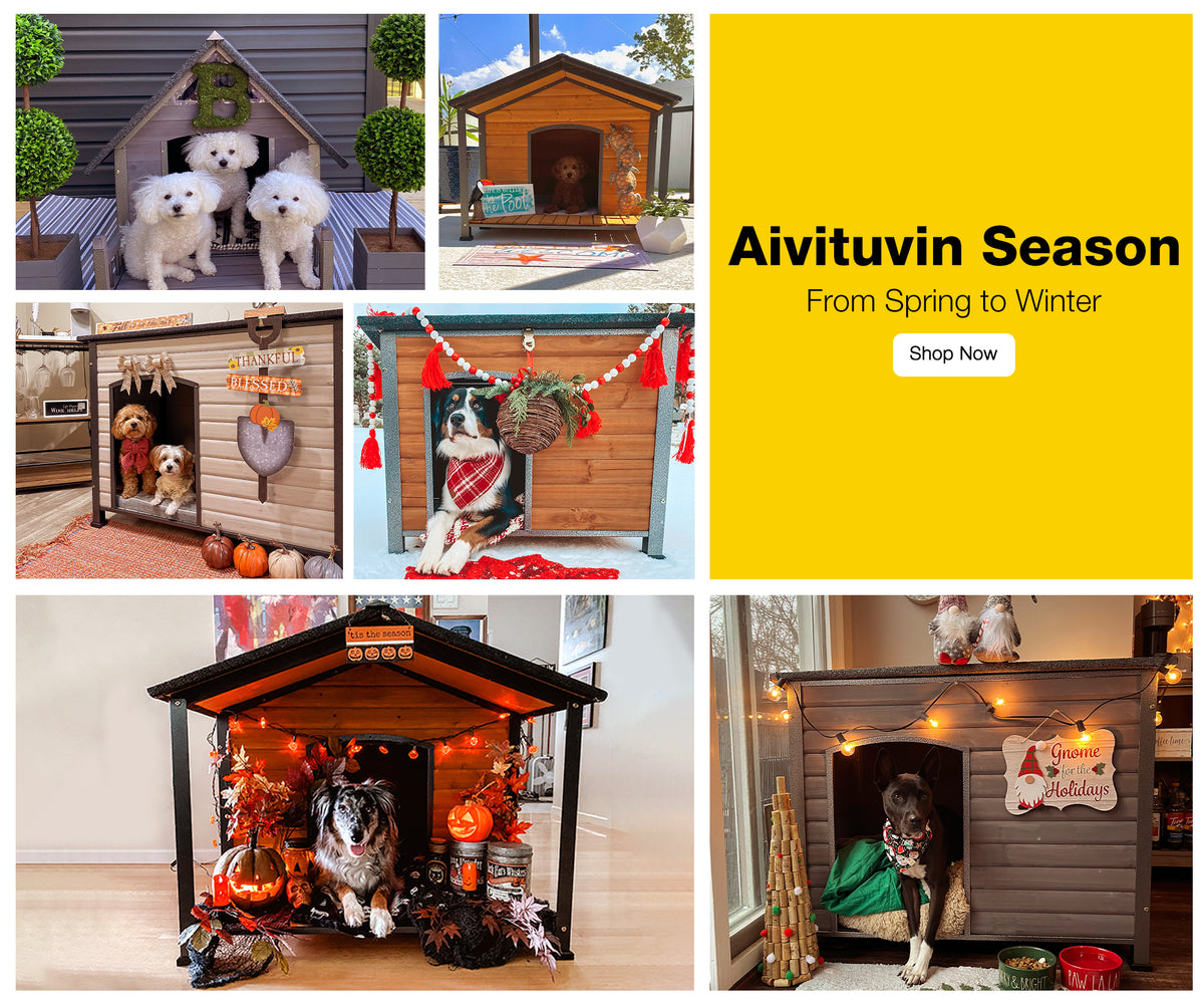 Premium Extra-Large Wooden Dog House: Waterproof, Insulated, and ...