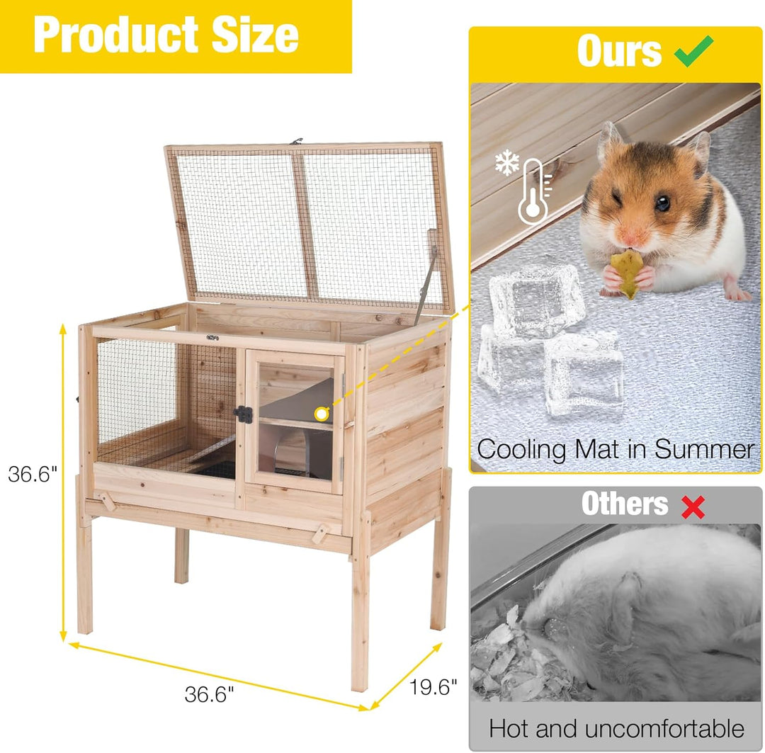 Morgete AIR53-OC Wooden Guinea Pig Cages Indoor with Removable Stand, Anti Chewing Rabbit Hutch with Ramp and Wire Mesh, 2 Story Small Animals House Habitat with Pull Out Tray, Natural