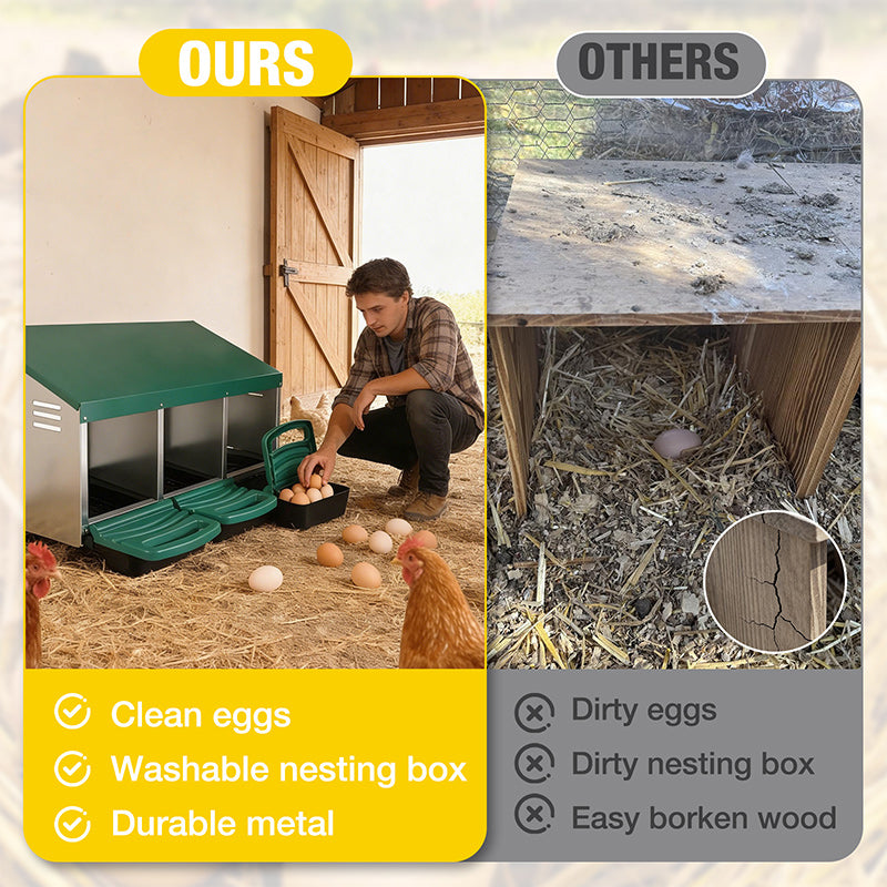 Aivituvin-AIR7036 Chicken Nesting Box | Roll-Away Egg Tray, 3 Compartments