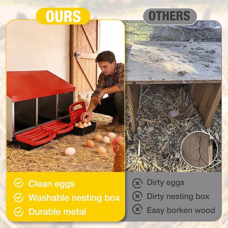 Aivituvin-AIR7036 Chicken Nesting Box | Roll-Away Egg Tray, 3 Compartments