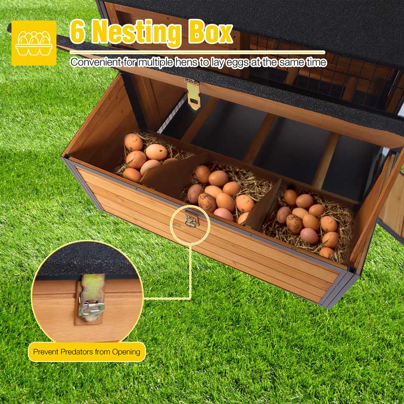 Aivituvin Metal Frame Chicken Coop AIR7019, Hen House for 4-6 Chickens