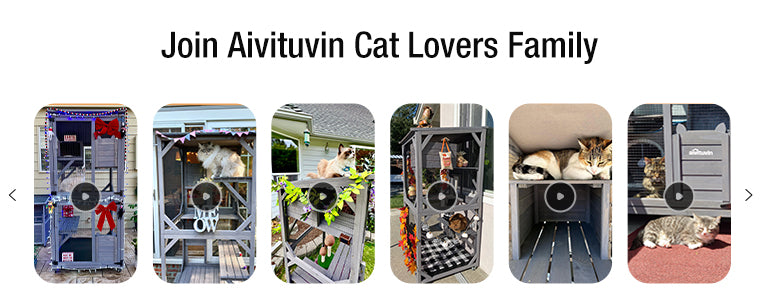 Aivituvin Indoor Outdoor Bunny Hutch for Sale