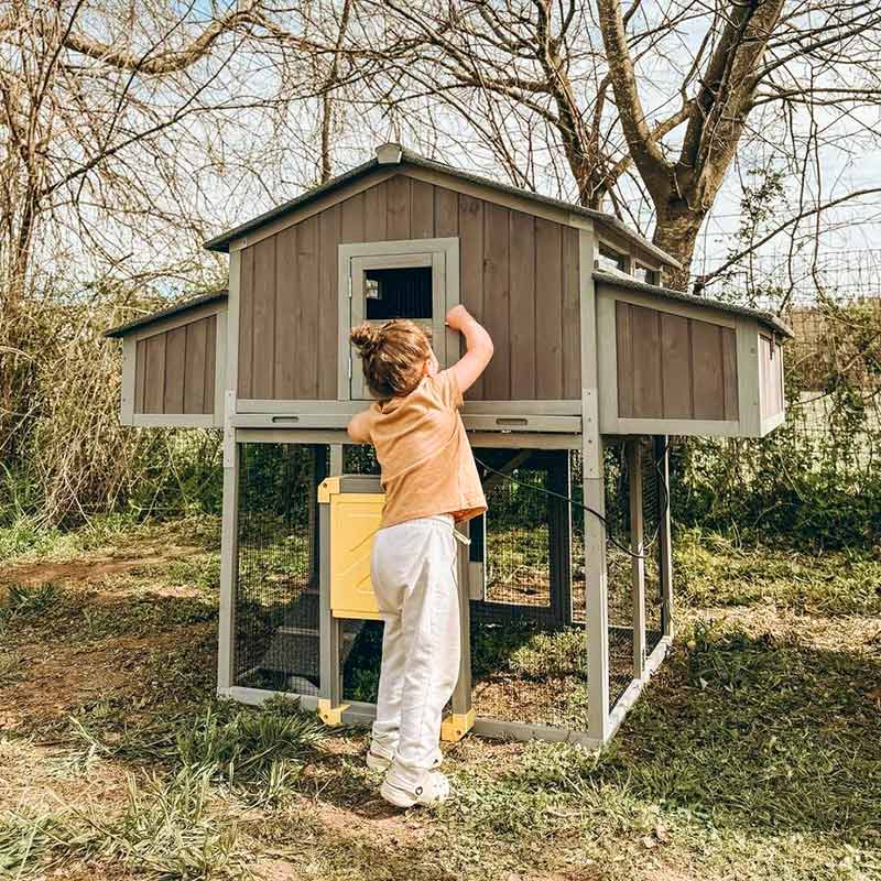 Aivituvin Foldable Chicken Coop AIR66, Fast-Assembly Folding Chicken House for 3–4 Chickens