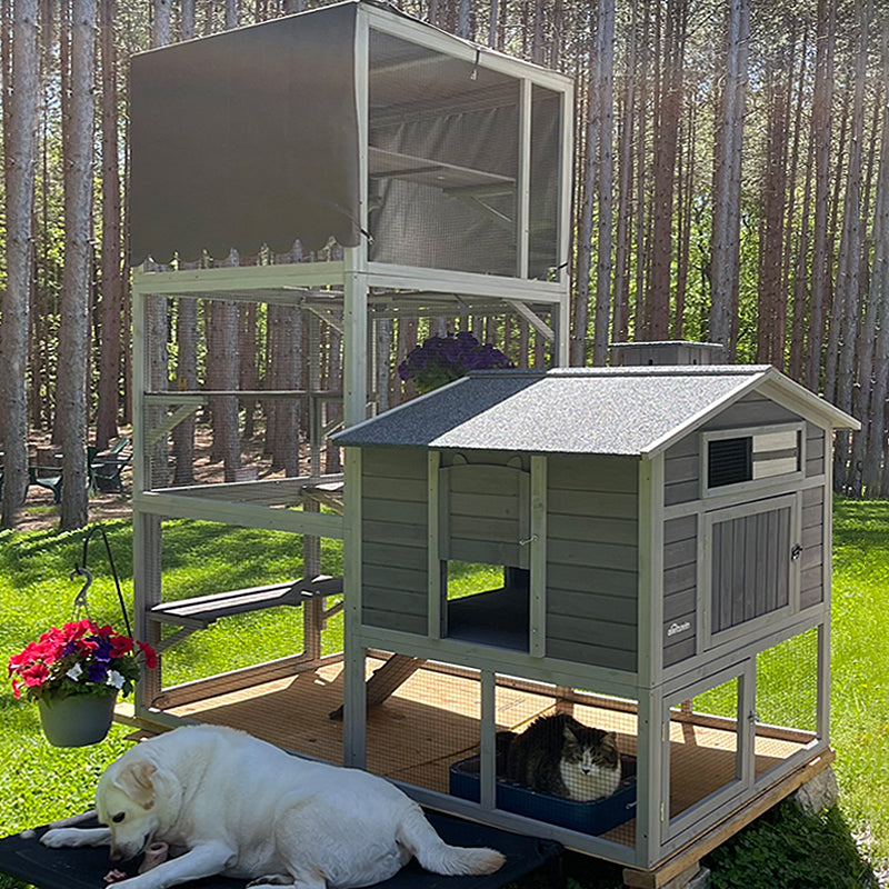 Aivituvin Large Cat Enclosure AIR82, Vertical Climbing Enclosure
