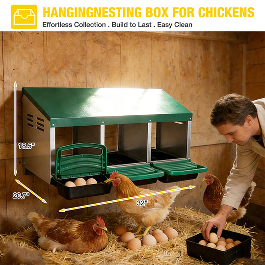Aivituvin-AIR7036 Chicken Nesting Box | Roll-Away Egg Tray, 3 Compartments