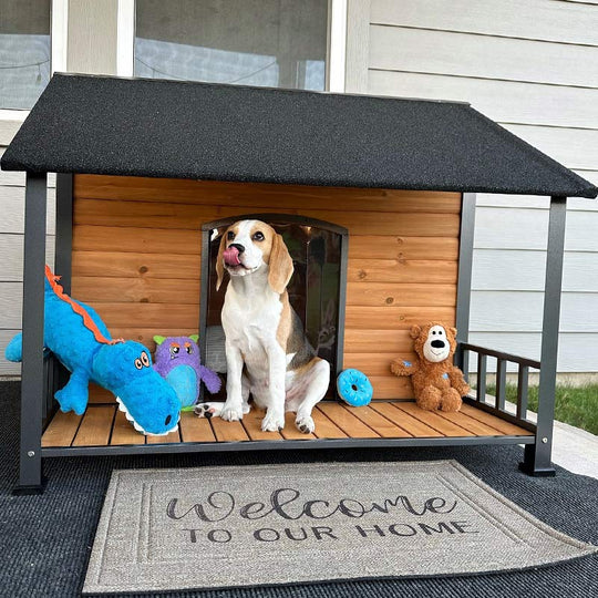 Aivituvin-AIR7010 Weatherproof Dog House with Iron Frame| Extended Asphalt Roof|Spacious Balcony