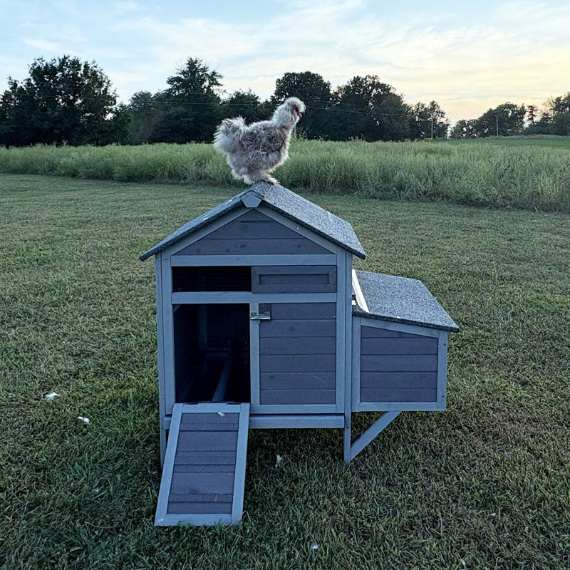 Aivituvin-AIR7020 Raised Backyard Hen House | Small Chicken House for 1-2 Chickens