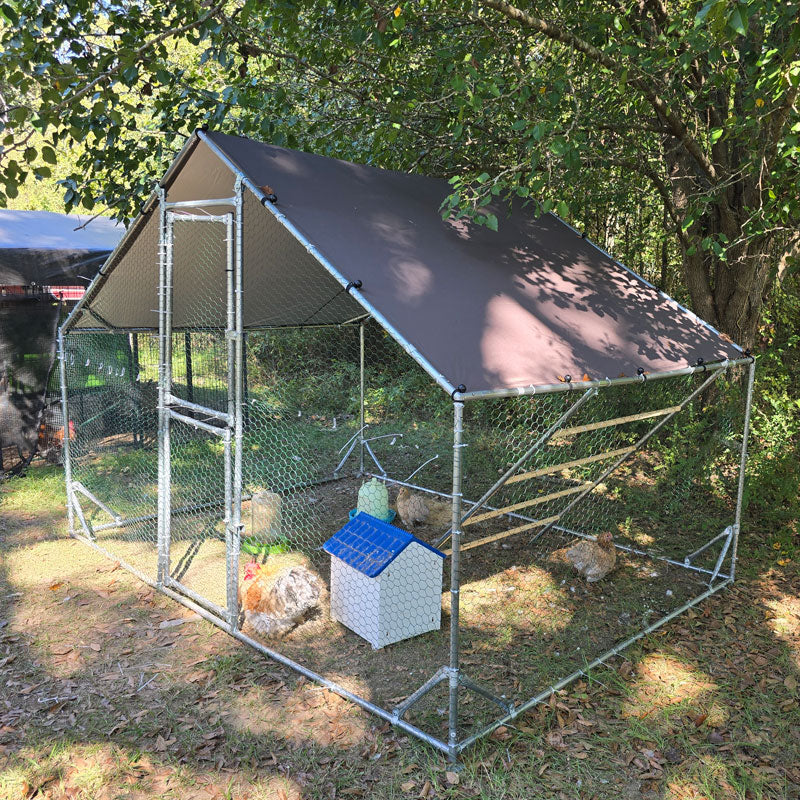 large metal chicken run