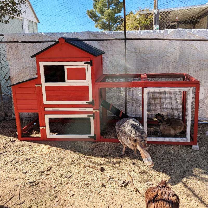 mobile chicken coop