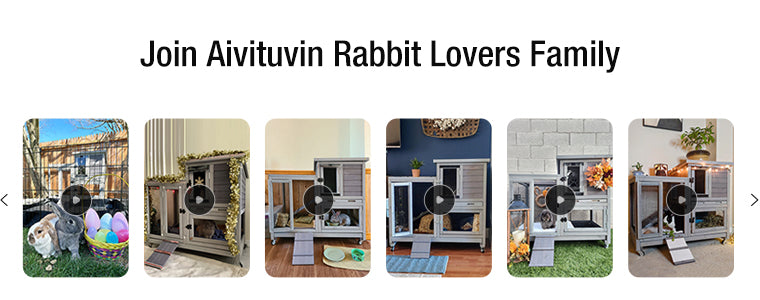 hanipipi Aivituvin Outdoor Indoor Rabbit Hutch Furniture