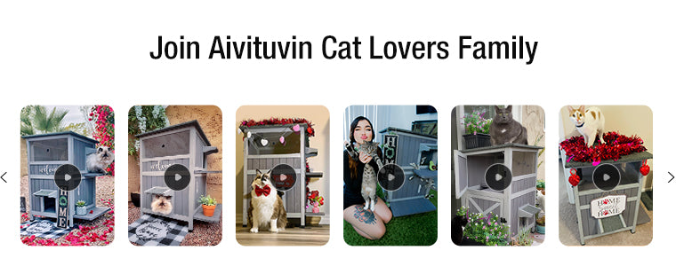 Aivituvin Two Tier Cat House With Waterproof Roof