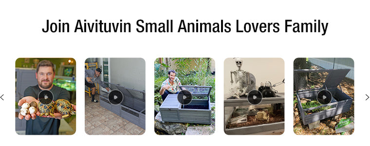 Aivituvin Large Turtle Habitat | Wooden Tortoise House