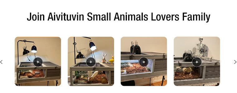 Aivituvin Indoor Outdoor Tortoise Habitat for Sulcata，Russian Turtle