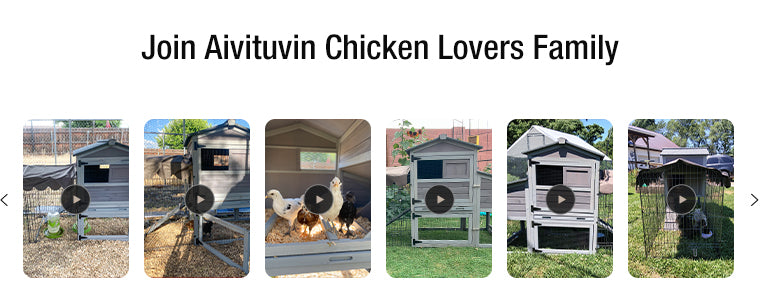 Wooden Chicken Coop with Metal Run, Asphalt Roof, Nesting Box