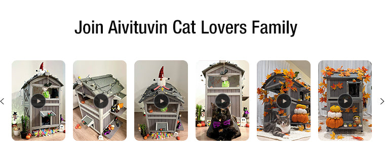 Aivituvin Two Tier Cat House With Waterproof Roof