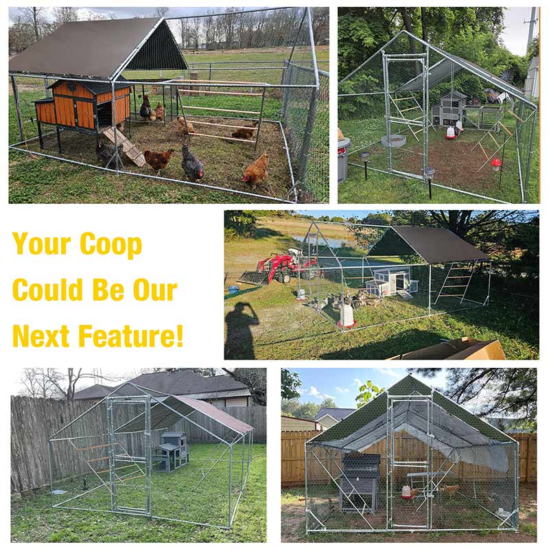 Aivituvin-AIR7022/23 Large Metal Chicken Run for Chickens, Ducks, Rabbits, and Small Animals