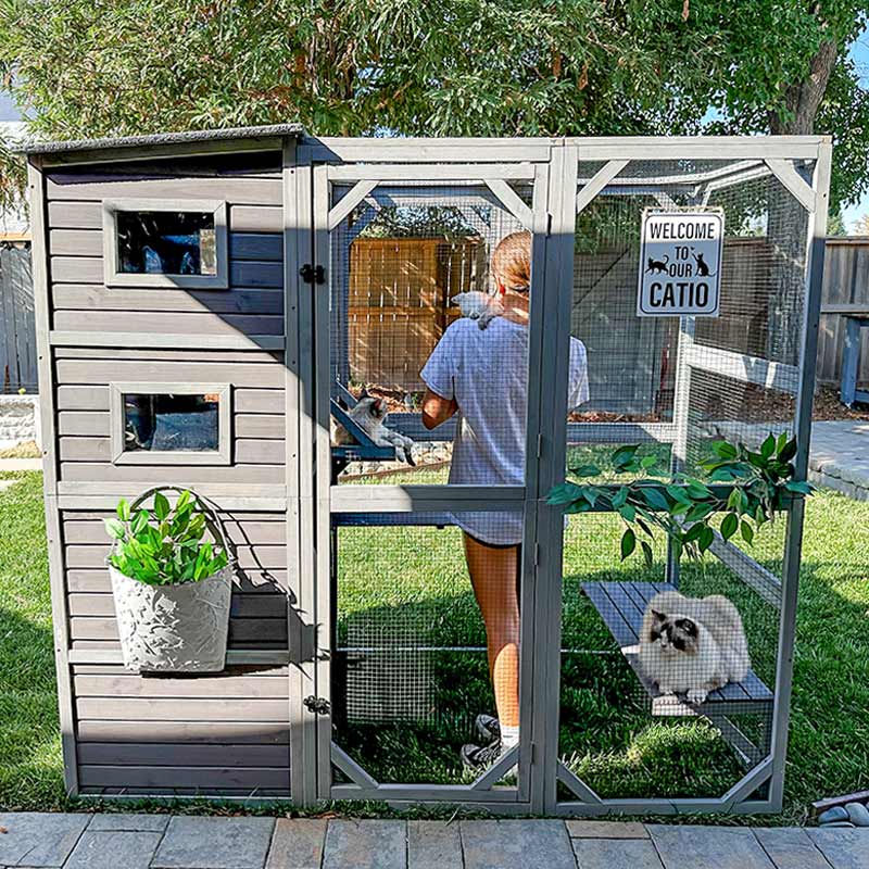 Cat Fence Outdoor Cat Run Enclosure Cat Run Outdoor Enclosure