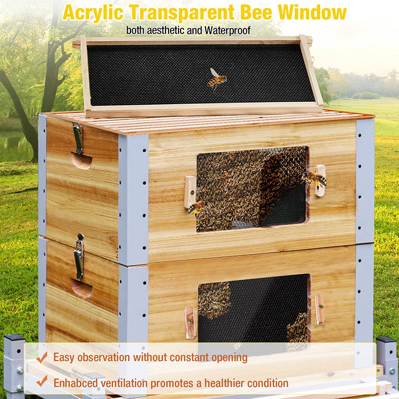 Complete Beehive Kit - No Assembly Needed, Large Wooden Bee Box with ...