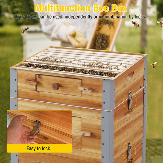 Aivituvin-AIR104 Large Wooden Bee Hive | Bee Box with Metal Frame, Beeswax Coating