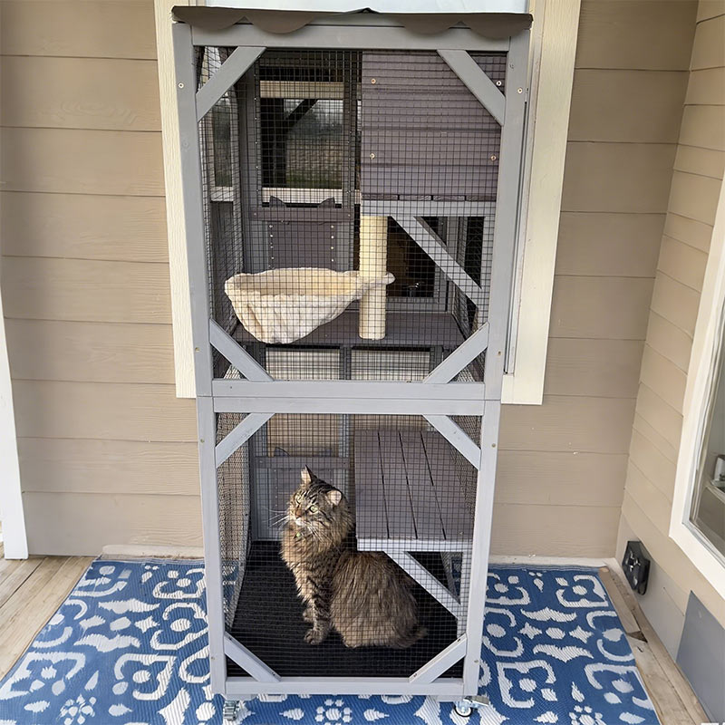 Aivituvin Medium Cat Catio AIR22-M, Outdoor Cat House with Wheels, Connects to Window & Cat Door