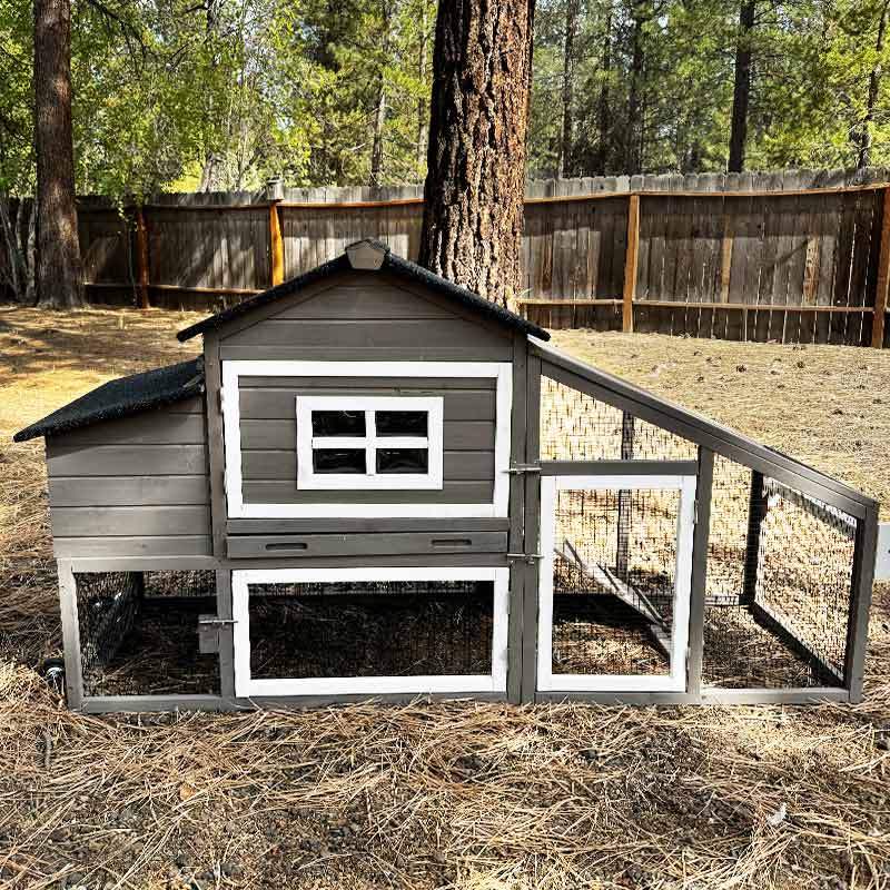 portable chicken coop