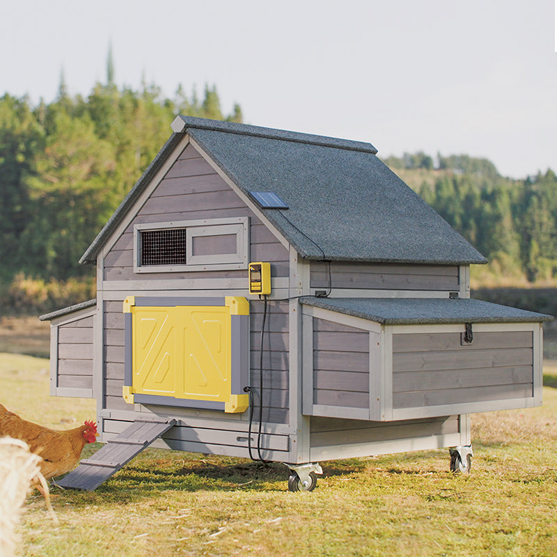 chicken coop with automatic door
