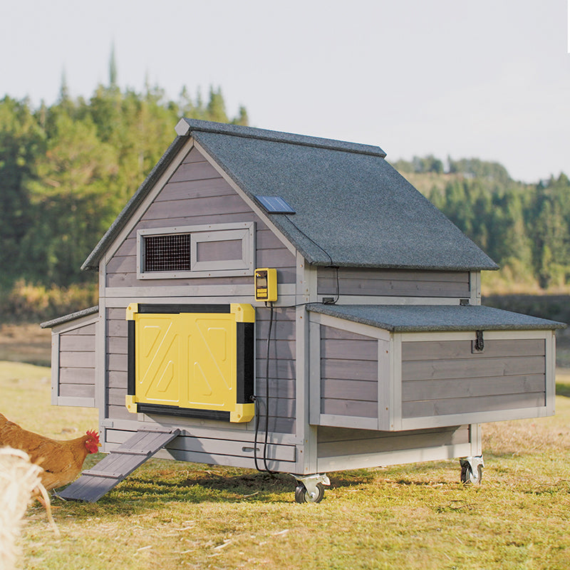 chicken coop with automatic door