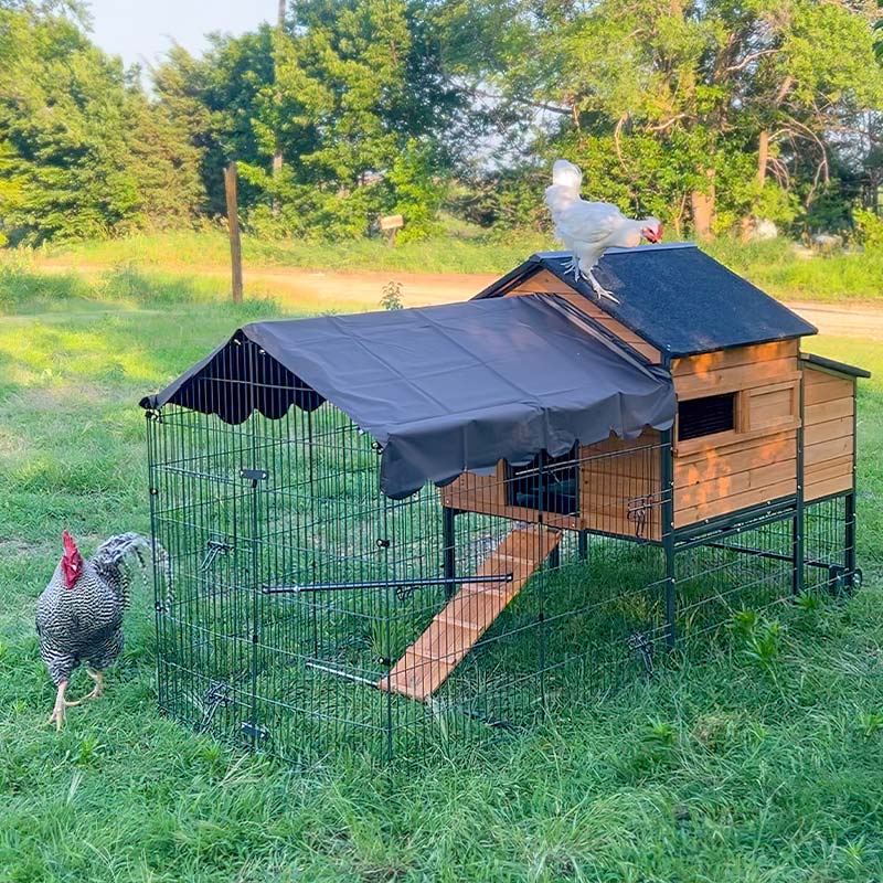 Aivituvin Heavy Duty Metal Chicken Run AIR7009, Waterproof Roof Cover( Inner Space 22ft²)
