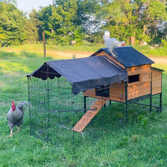 Aivituvin Heavy Duty Metal Chicken Run AIR7009, Waterproof Roof Cover( Inner Space 22ft²)