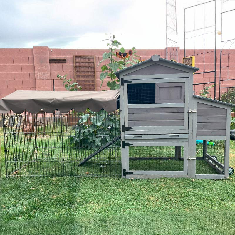 metal chicken coop