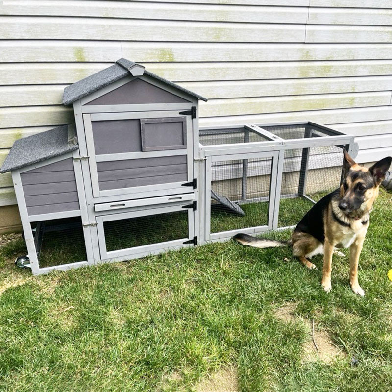 chicken coop run