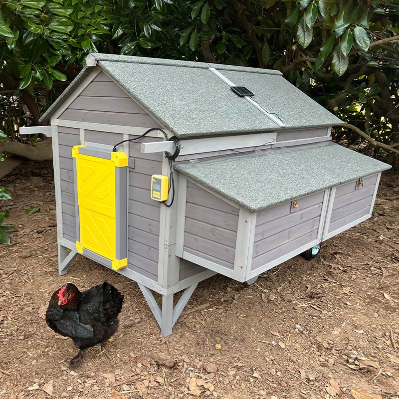 Aivituvin Wooden Chicken Tractor AIR97, Extra-Large Chicken Coop for 8-10 Chickens