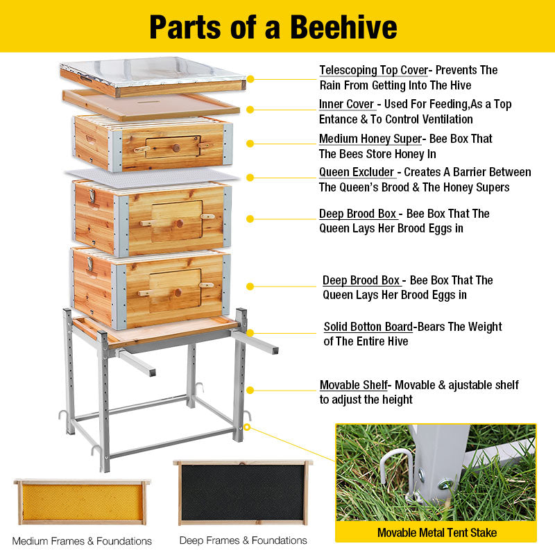 Complete Beehive Kit - No Assembly Needed, Large Wooden Bee Box with ...
