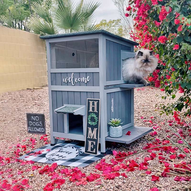 Morgete Cat House Outdoor with Large View Door Two Removable Floor, Feral Cat Shelter