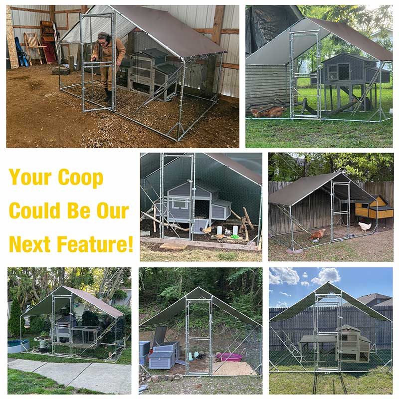 Aivituvin-AIR7022/23 Large Metal Chicken Run for Chickens, Ducks, Rabbits, and Small Animals