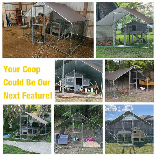 Aivituvin-AIR7022 Large Metal Chicken Run for Chickens, Ducks, Rabbits, and Small Animals