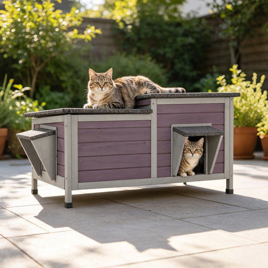 Aivituvin Feral Cat Shelter AIR93, Two-Room Outdoor Cat House