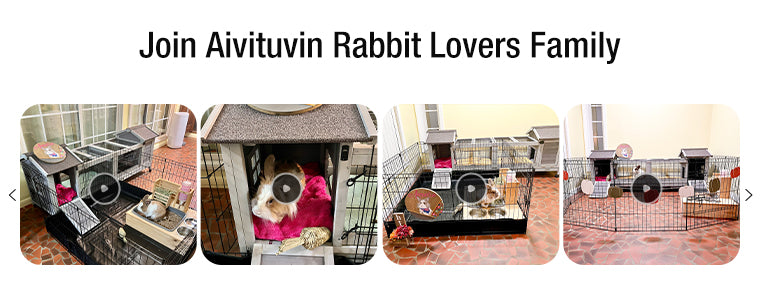Aivituvin Indoor Rabbit House for Sale for Bunny, Guinea Pig