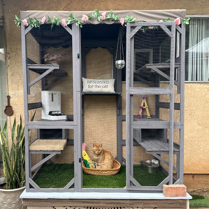 Aivituvin-AIR37-M Walk-in Large Cat Enclosure with Roof Tarp - Connects to Windows or Cat Doors