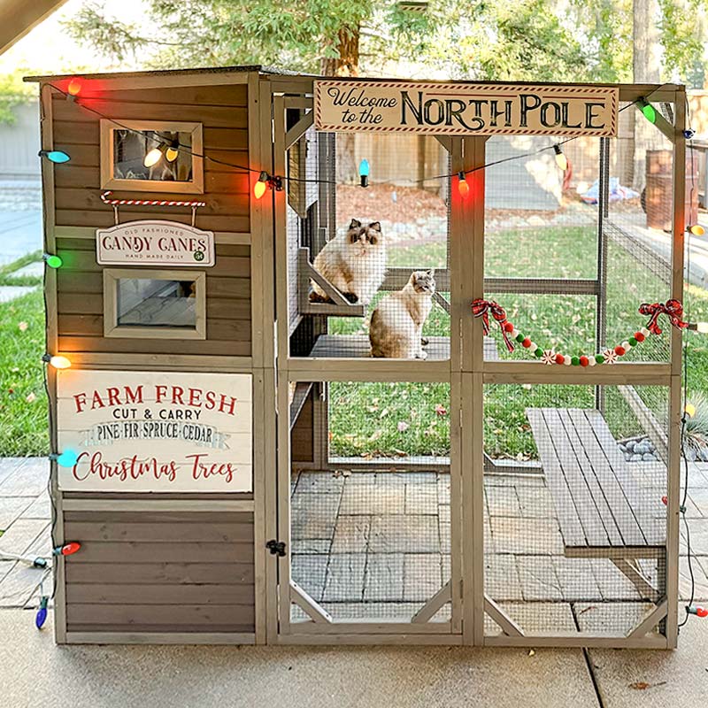 Aivituvin-AIR54 Outdoor Cat Enclosure | Large Pet Enclosure