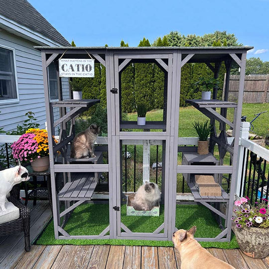Aivituvin-AIR37 Walk-in Extra Large Outdoor Cat Enclosure Connected To House