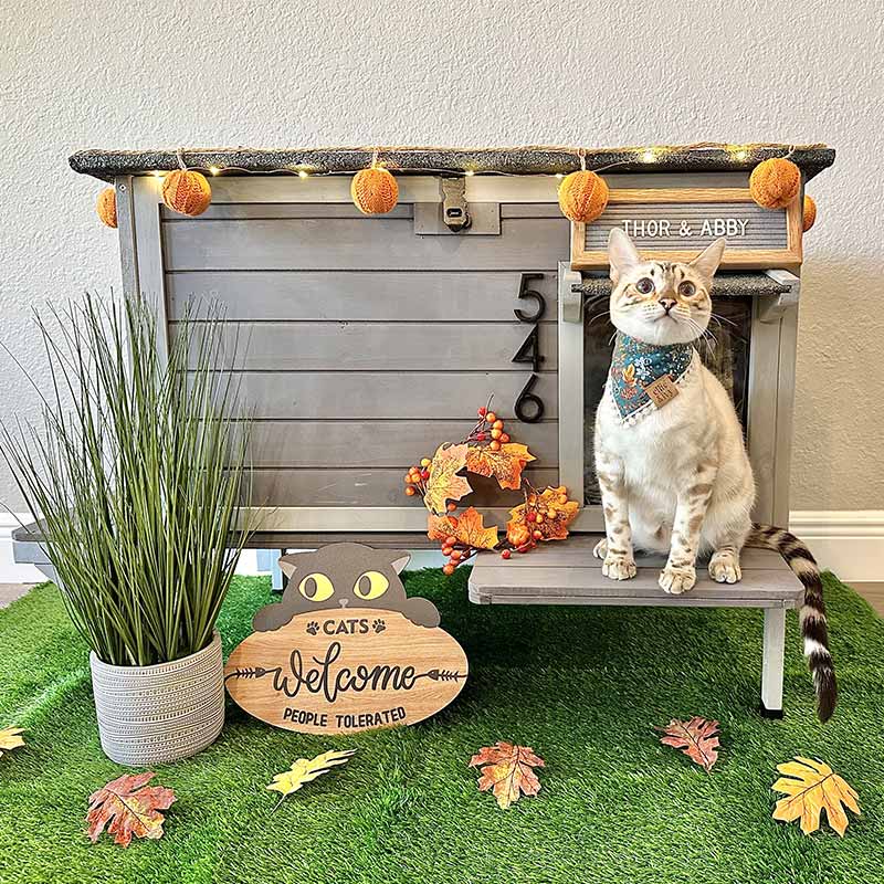 Outdoor Shelter Outdoor Litter Box For Feral Cats Premium Wooden