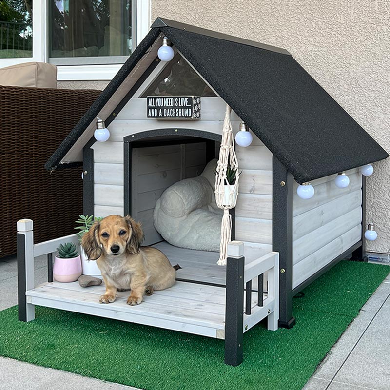 Aivituvin-AIR80 AIR81Outdoor Dog House with Porch| Strong Iron Frame