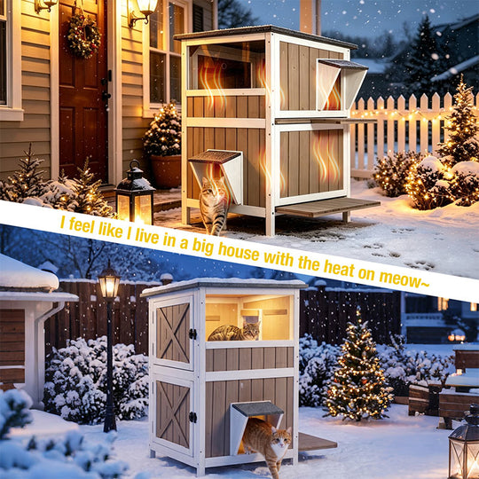 heated cat house