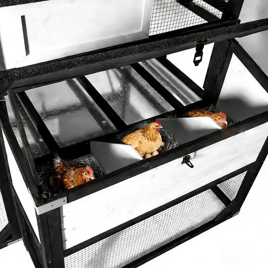 MEDEHOO 118" Outdoor Large Chicken Coop with Run for 8-10 Chickens-AIR46-M