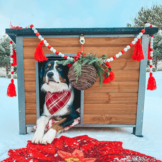 Morgete Wooden Dog House Anti-chewing Kennels for Outdoor & Indoor, Off-White Large