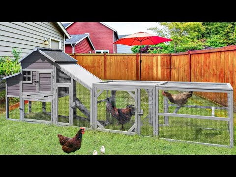 Aivituvin-AIR29-Y Metal Chicken Coop Extension Run ,Combine with AIR27 AIR31 AIR32 (Inner Space 14.36ft²)