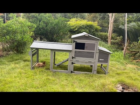 Aivituvin- AIR61 Mobile Chicken Tractor for 2-3 Chickens( Inner Space 18.47ft²)
