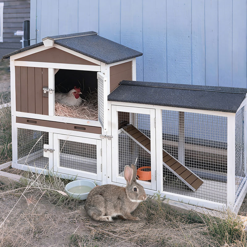 chicken coop shed